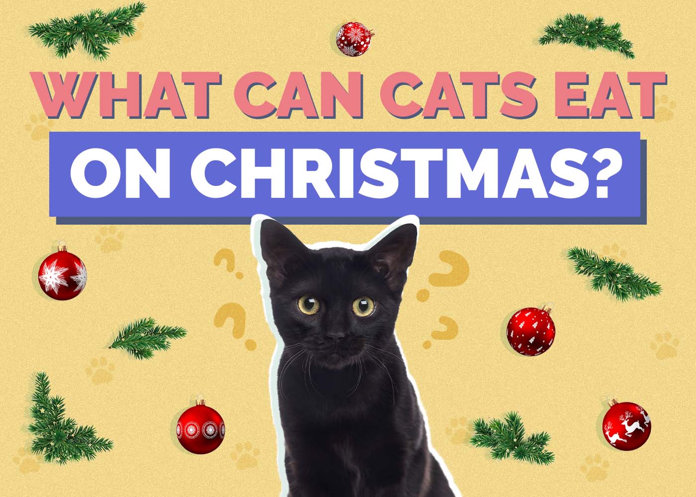 What Can My Cat Eat on Christmas? 7 Vet-Approved Options