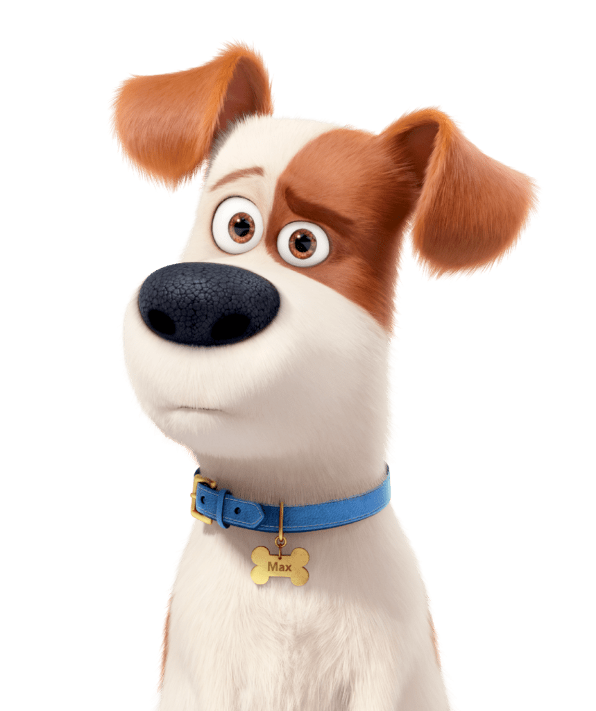 What Kind of Dog is Max from The Secret Life of Pets? Facts, Temperament, & FAQ