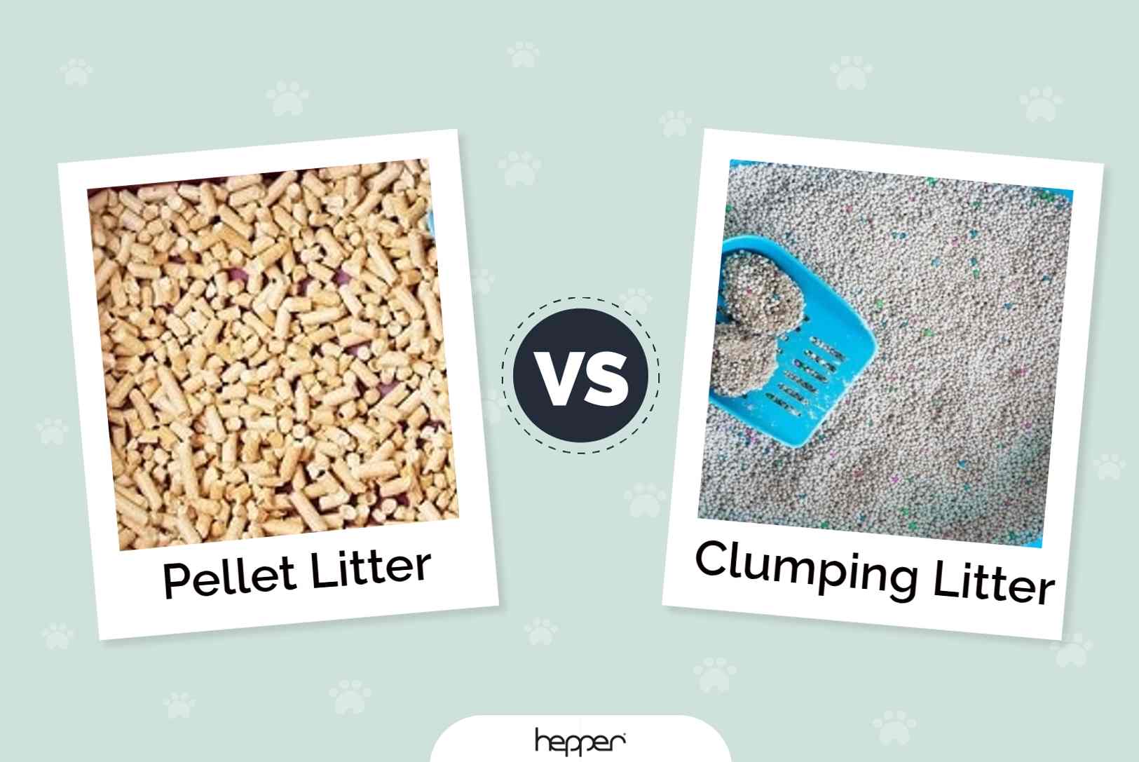 Pellet Litter vs. Clumping Litter: Which Is Better for My Cat?