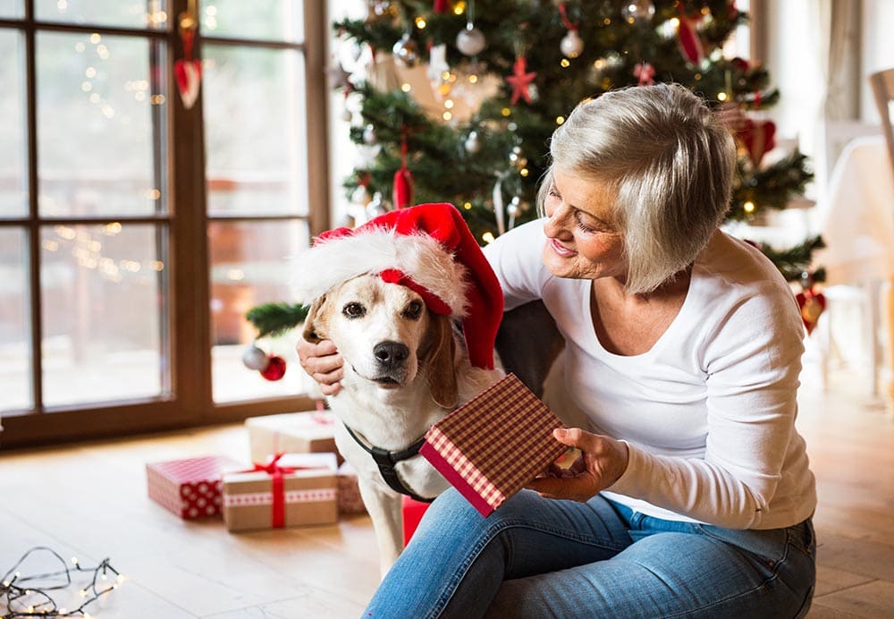 18 DIY Christmas Gifts for Dogs and Dog Lovers (with Instructions)