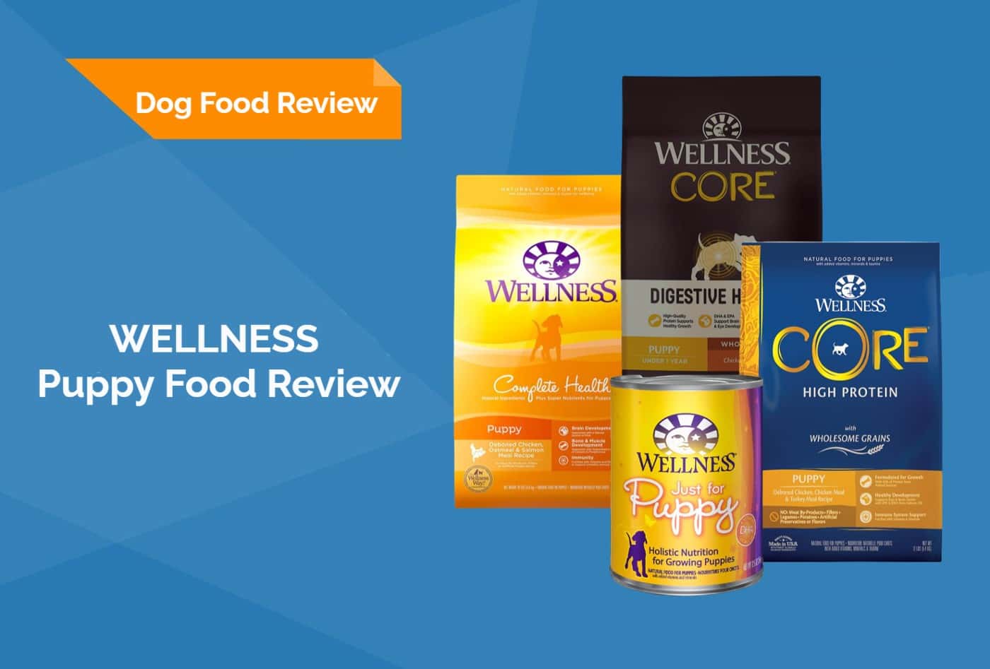 Wellness Puppy Food Review 2026: Recalls, Pros & Cons (Vet-Approved)