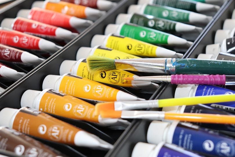 Is Acrylic Paint Toxic to Cats? Vet-Approved Safety & Toxicity Facts
