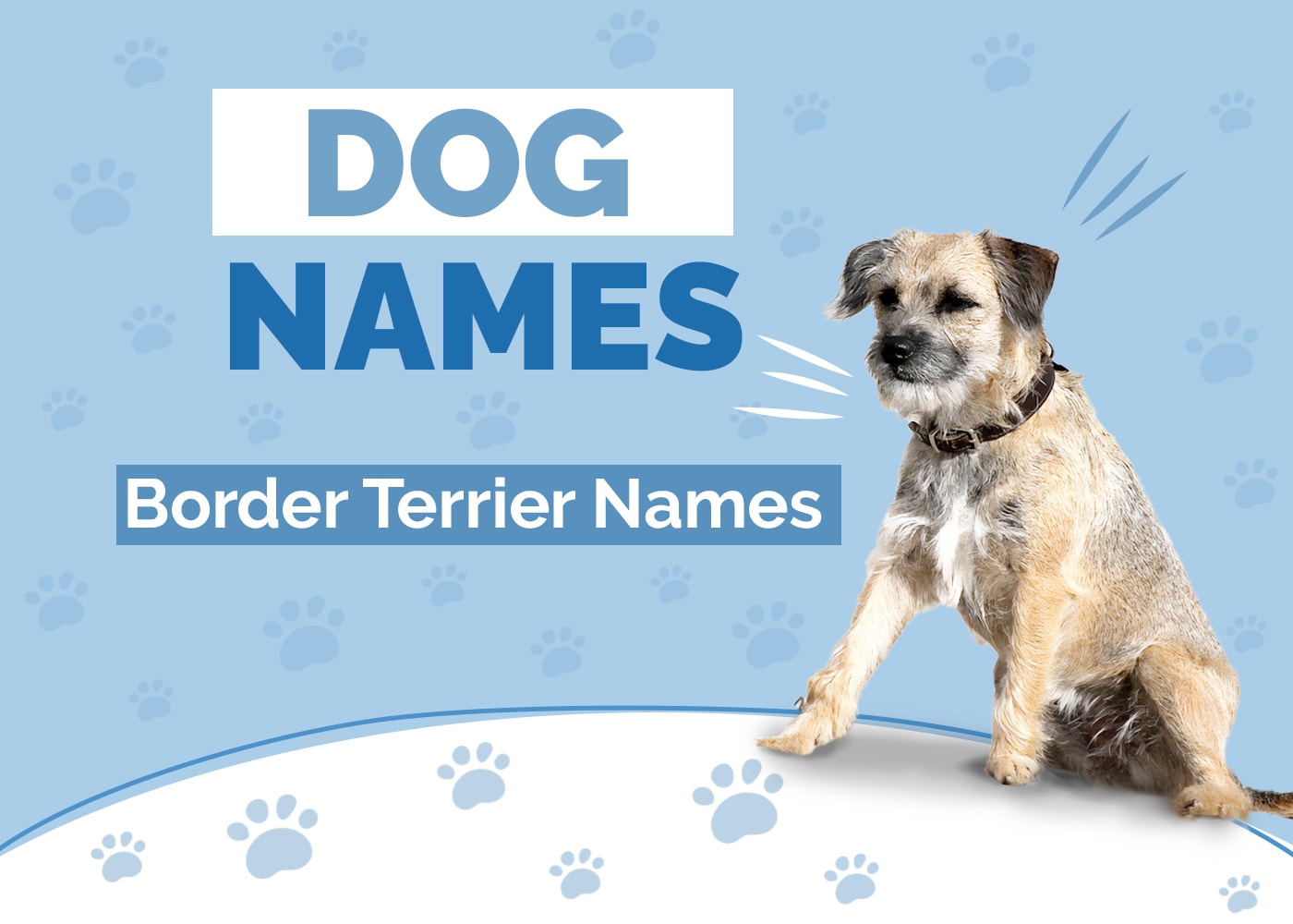 160 Great Names for Border Terriers: Ideas for Tenacious Dogs