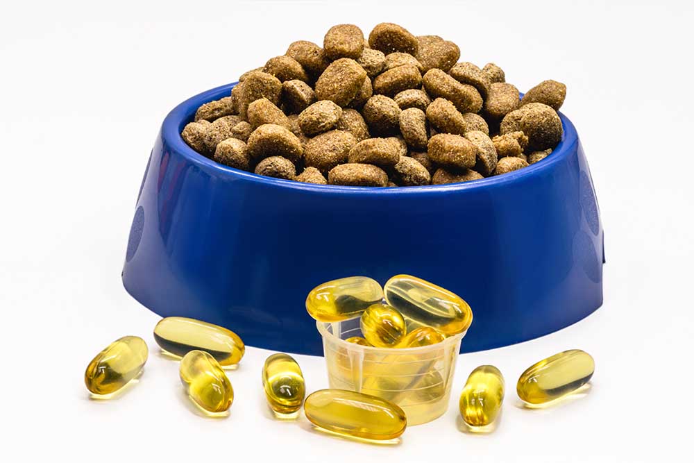 What Can I Add to Dog Food for Dry Skin (14 Options)
