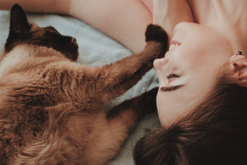 How Much Does MetLife Pet Insurance Cost? 2026 Price Update
