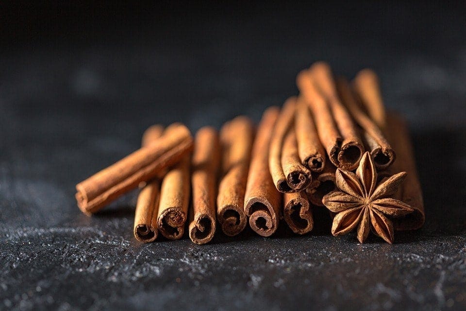 Does Cinnamon Keep Cats Away? Vet-Verified Facts & Safe Feline Deterrents