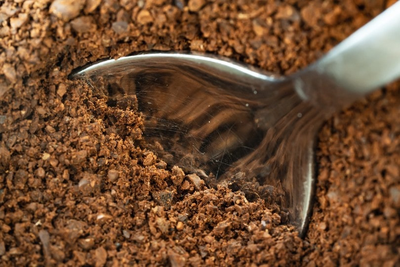 Do Coffee Grounds Keep Cats Away? Are They the Best Choice?