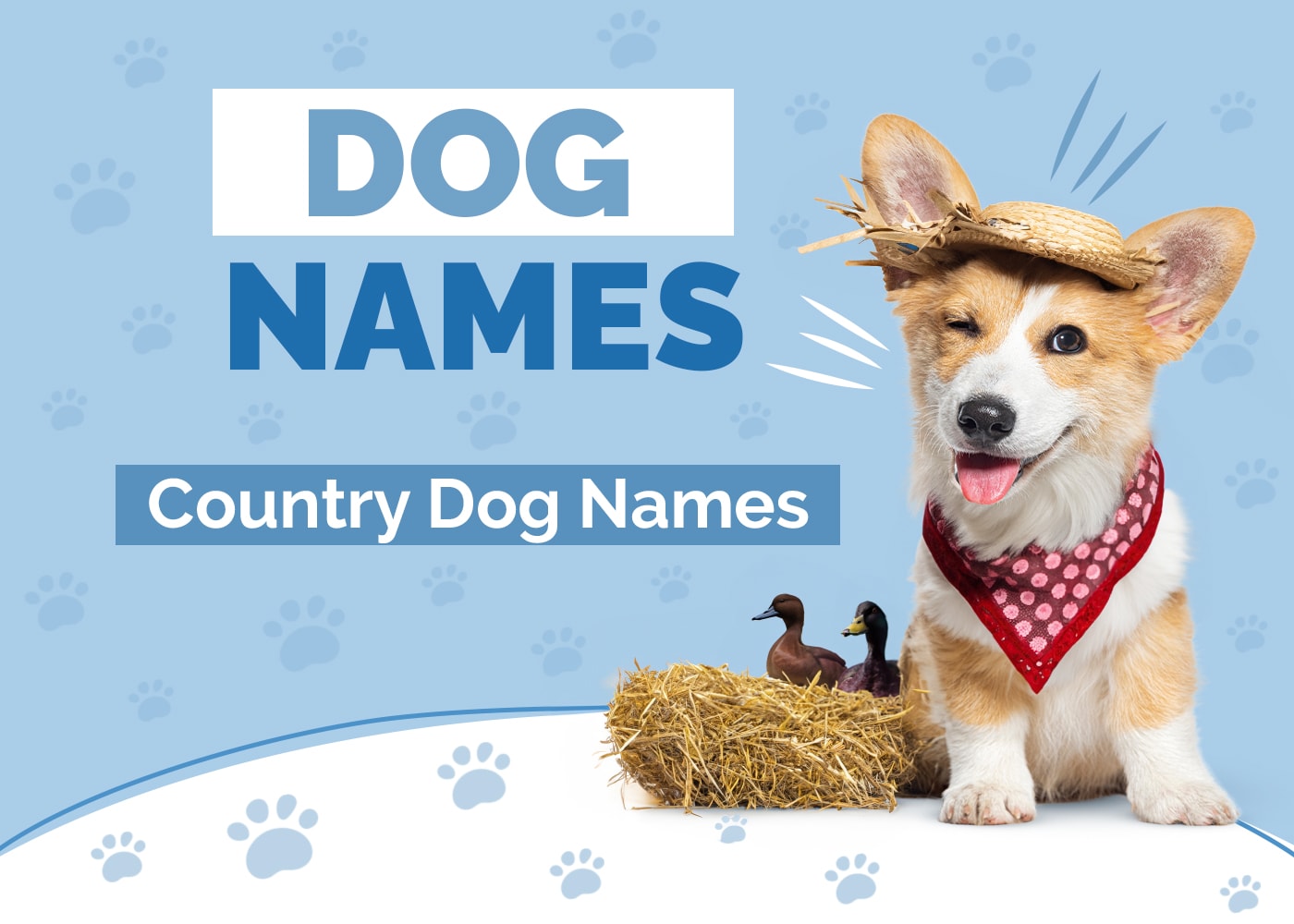 100+ Country Dog Names: Ideas for Nature-Loving Pups