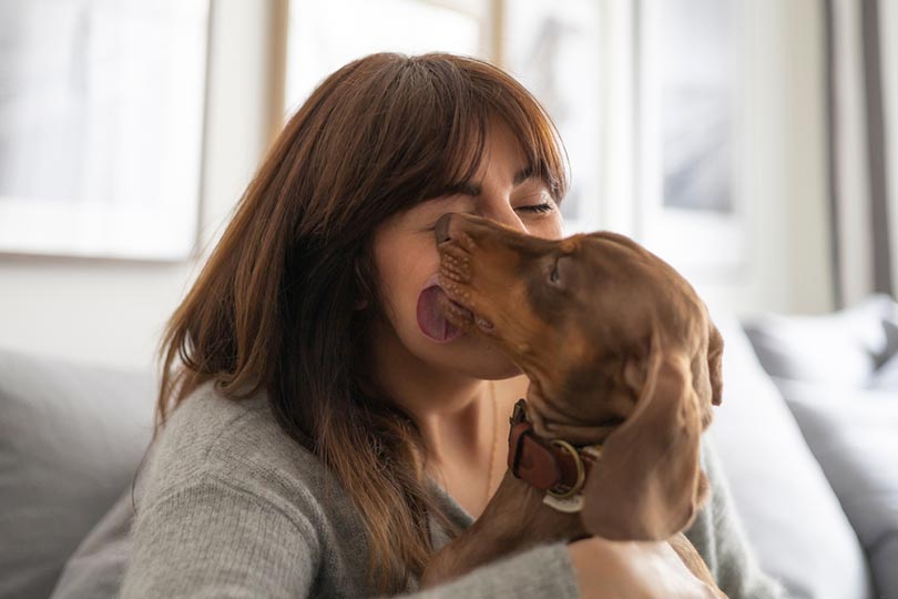 14 Basic Tips for First-Time Dog Owners: Expert Advice & Facts