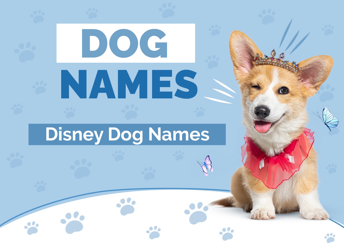 100+ Disney Dog Names: Ideas for Charming & Dreamy Dogs