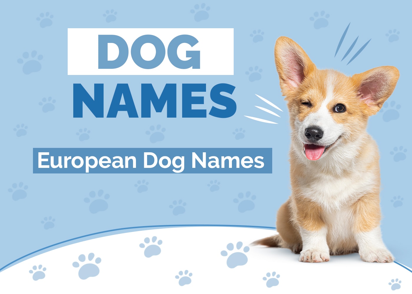 100+ European Dog Names: Ideas for Sophisticated & Cultured Dogs