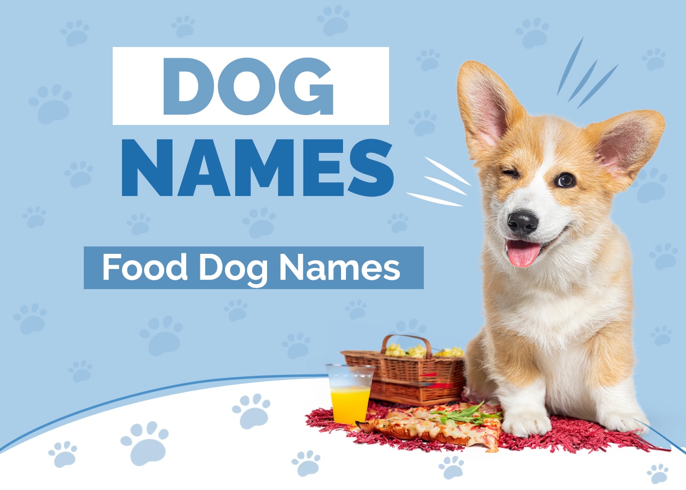 340+ Food Names for Dogs: Delicious Ideas for Foodie Parents