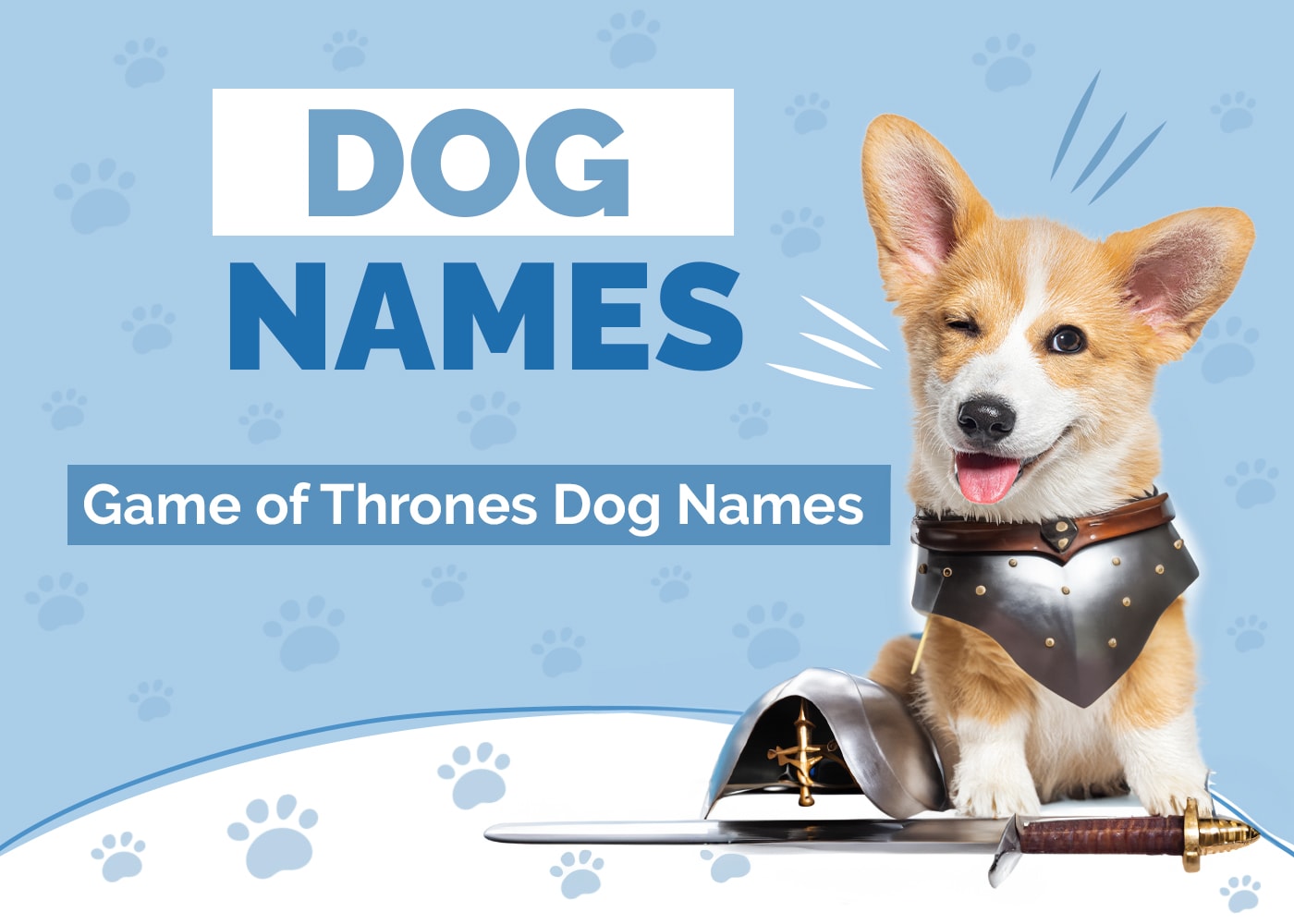100+ Game of Thrones Dog Names: Ideas for Medieval & Noble Dogs
