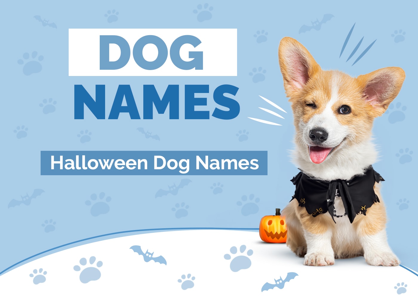 140 Halloween Dog Names: Spooky & Scary Options for Your Pup