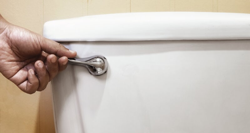 Can You Flush Cat Litter? Does It Hurt the Environment? (Facts & FAQ)