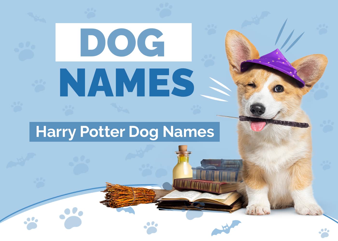 350+ Harry Potter Dog Names: Unique Ideas for Magical Creatures