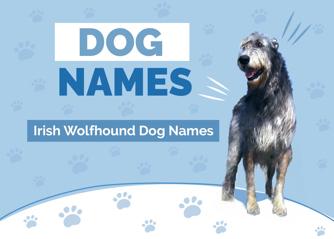 100+ Irish Wolfhound Names: Meaningful, Fun & Wolfy Ideas
