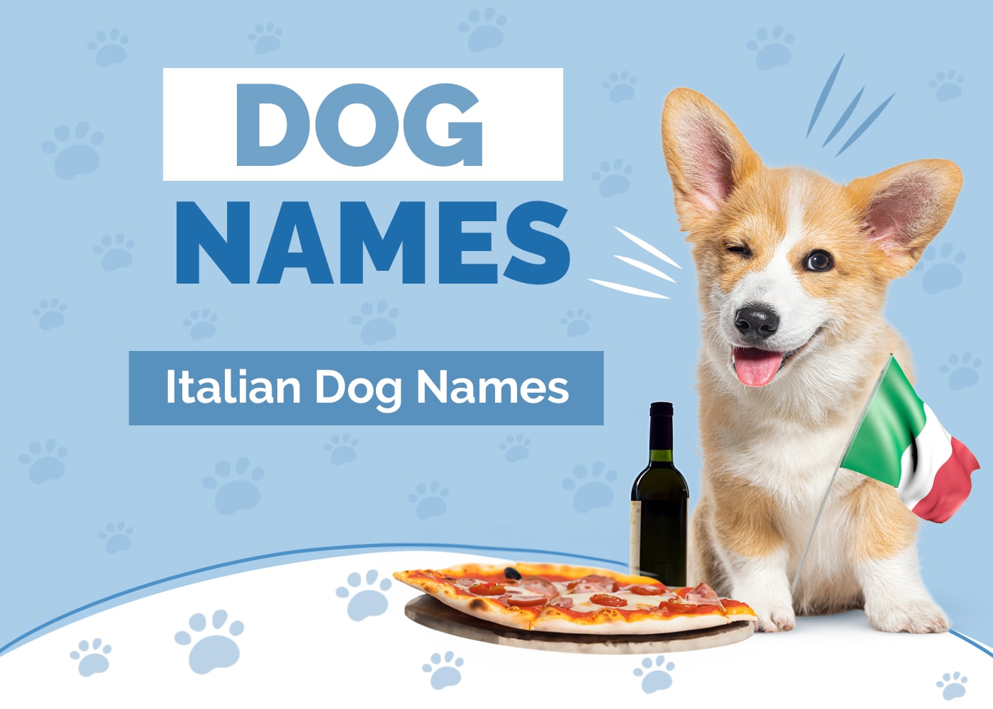 100+ Italian Dog Names: Fantastico & Bellisimo Ideas (with Meanings)