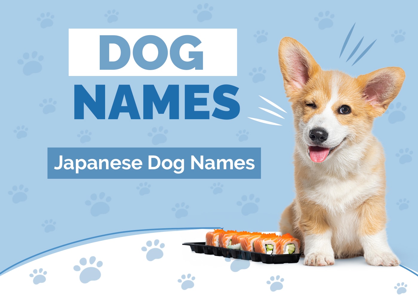 100+ Japanese Dog Names: Unique & Cute Ideas (with Meanings)