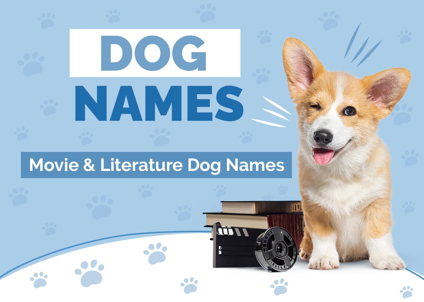 170+ Dog Names From Movies: Famous, Unique & Classic Ideas
