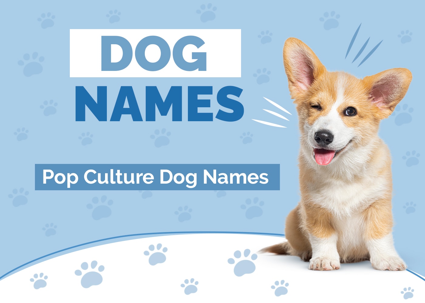 100+ Pop Culture Dog Names: Trendy, Unique & Relevant Ideas