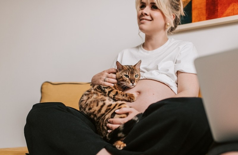 Why Your Cat Is Extra Clingy When You're Pregnant? 4 Interesting Reasons