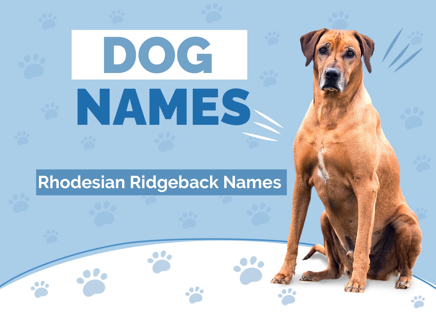 Names for Rhodesian Ridgebacks