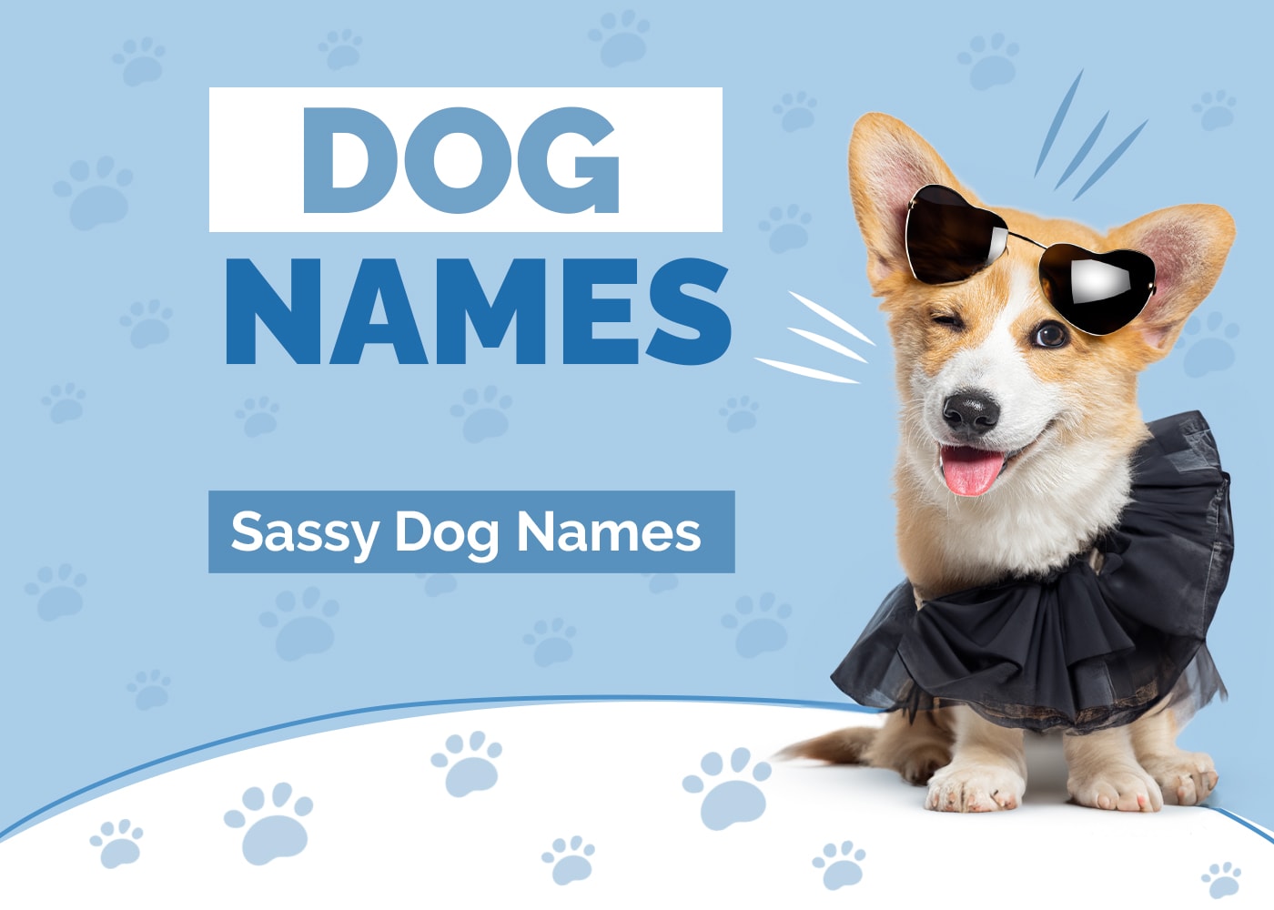 100+ Sassy Dog Names: Fun Ideas for Cheeky Diva Dogs