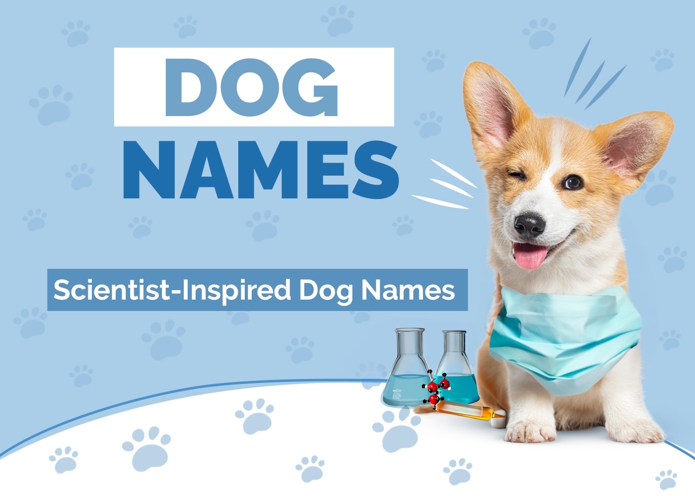 100+ Scientist-Inspired Dog Names: Smart & Sophisitcated Ideas
