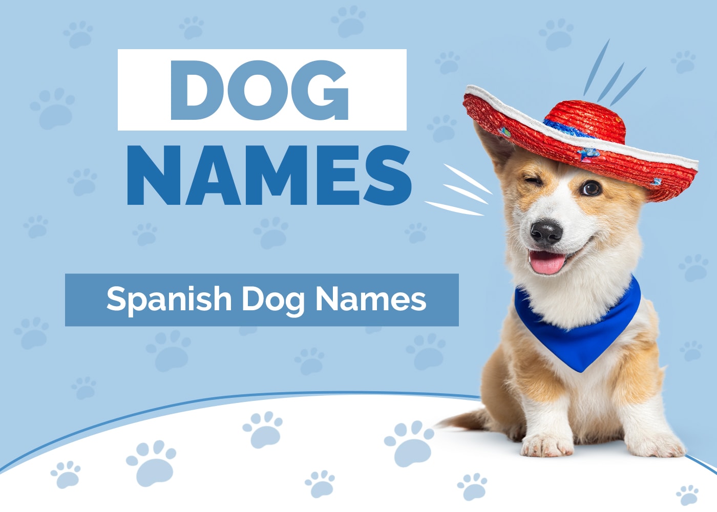 150+ Spanish Dog Names: Vibrant & Romantic Ideas