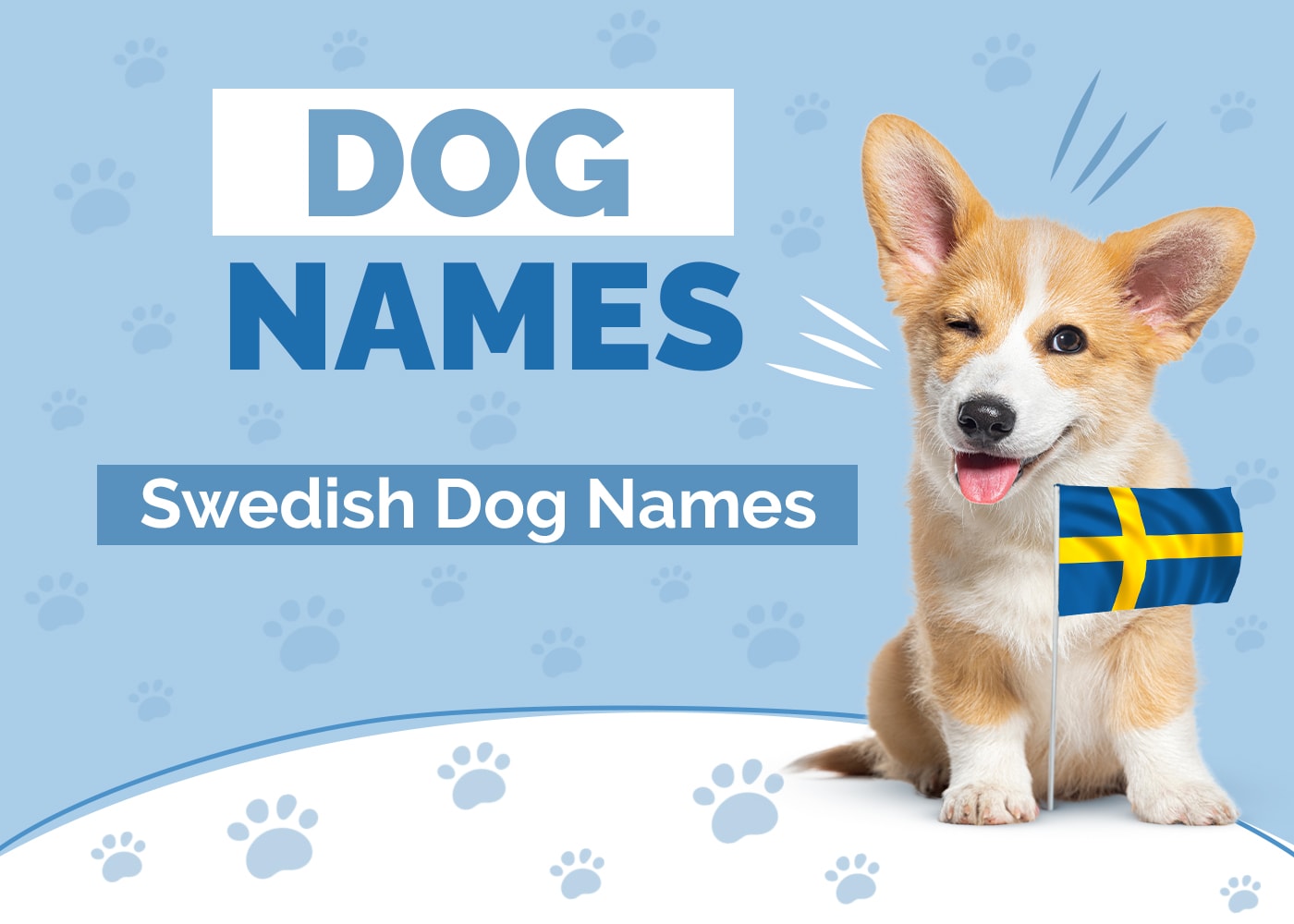 100+ Swedish Dog Names: Inventive & Popular Ideas For Your Pet