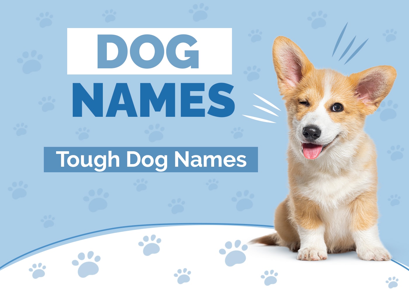 100+ Tough Dog Names: Fierce, Strong & Intimidating Ideas