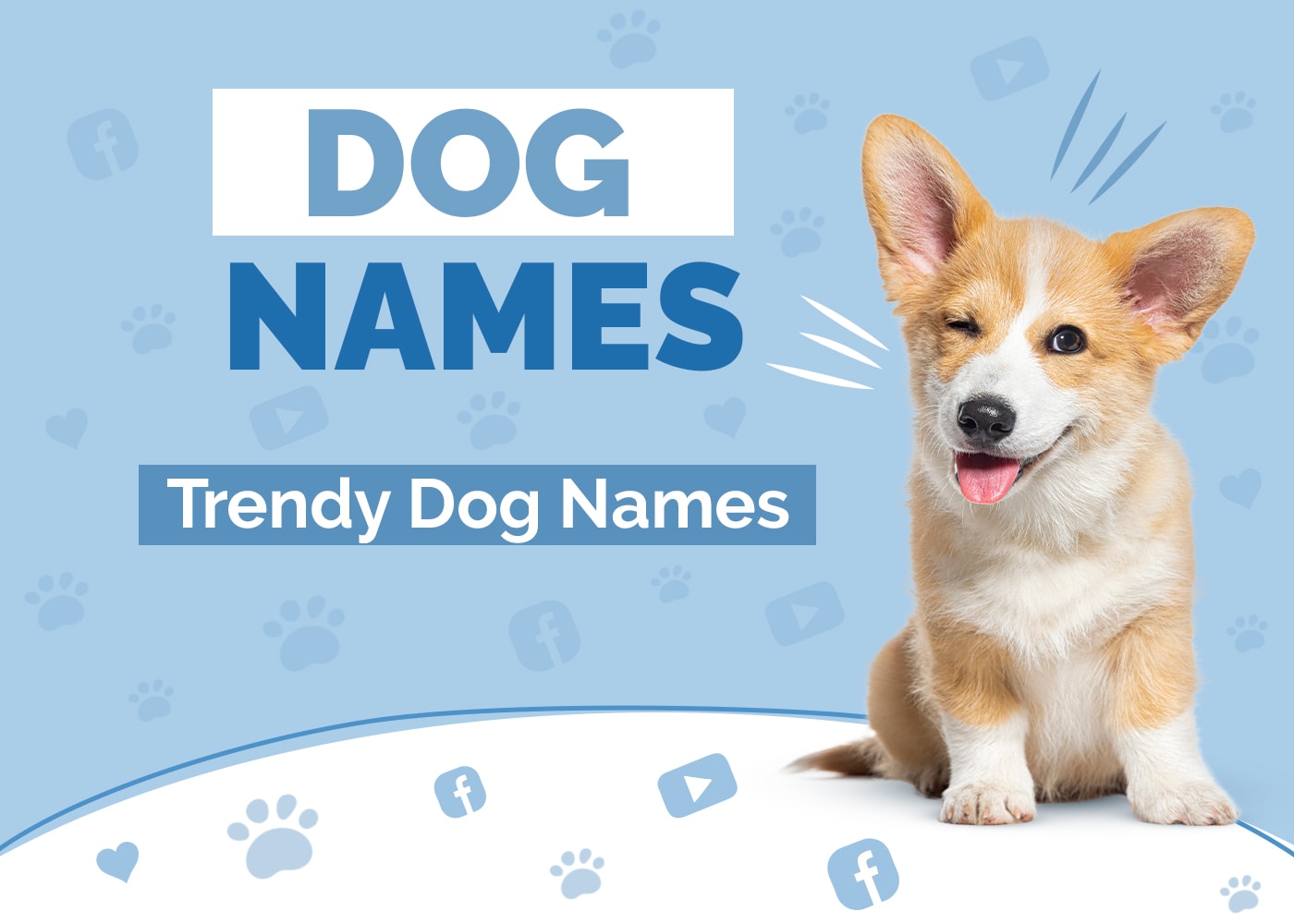 100+ Trendy Dog Names: Popular, Stylish & In-Vogue Ideas