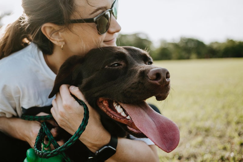 woman hugging her chocolate brown dog
