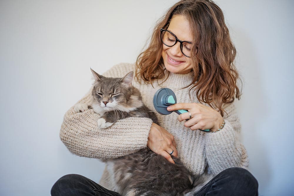 How to Brush a Cat if They Don’t Want to Be Brushed: 6 Vet-Approved Tips