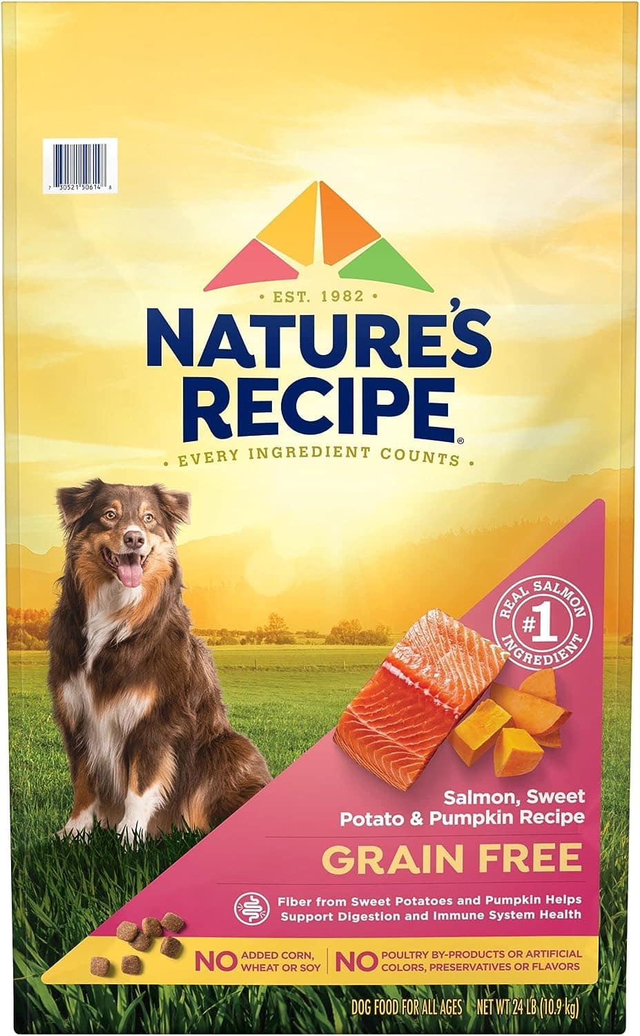 Nature’s Recipe Salmon, Sweet Potato, &amp; Pumpkin Dog Food Recipe