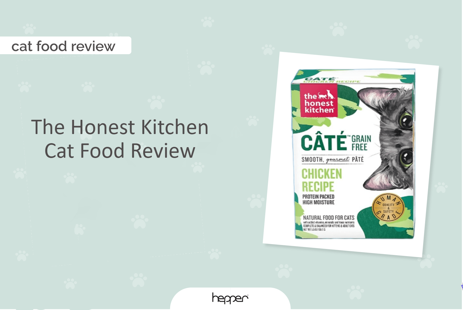 The Honest Kitchen Cat Food Review 2026: An Expert Guide