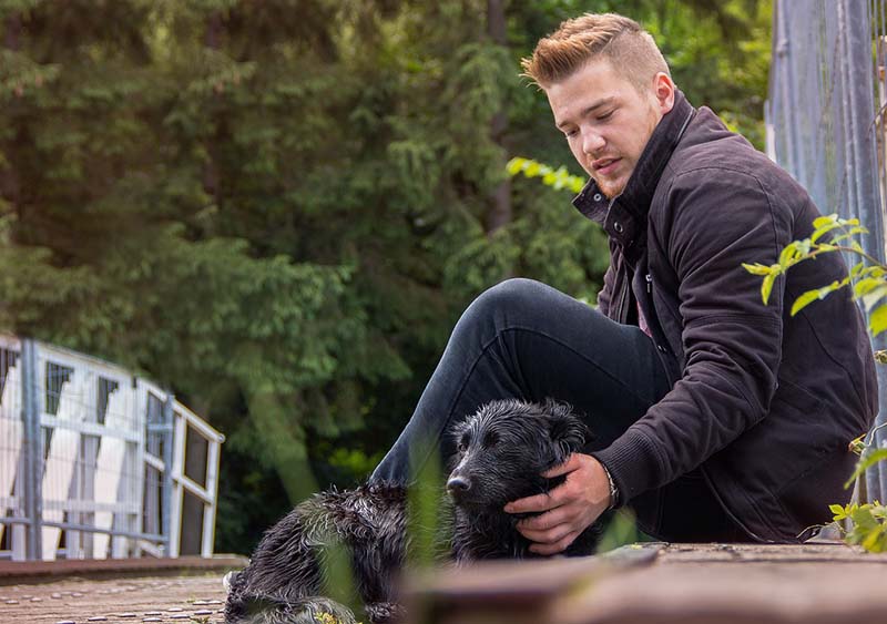 What’s the Price of a Dog in Canada? 2026 Update
