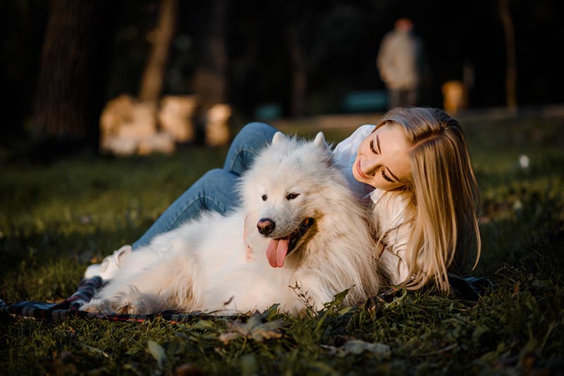 Pet Appreciation Week 2026: When It Is & What It Means