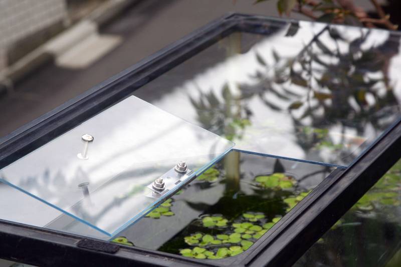 10 Helpful DIY Fish Tank Lid Plans You Can Make Today (With Pictures)