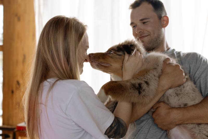 Which Country Has the Highest Percentage of Pet Ownership in 2026? What Numbers Say