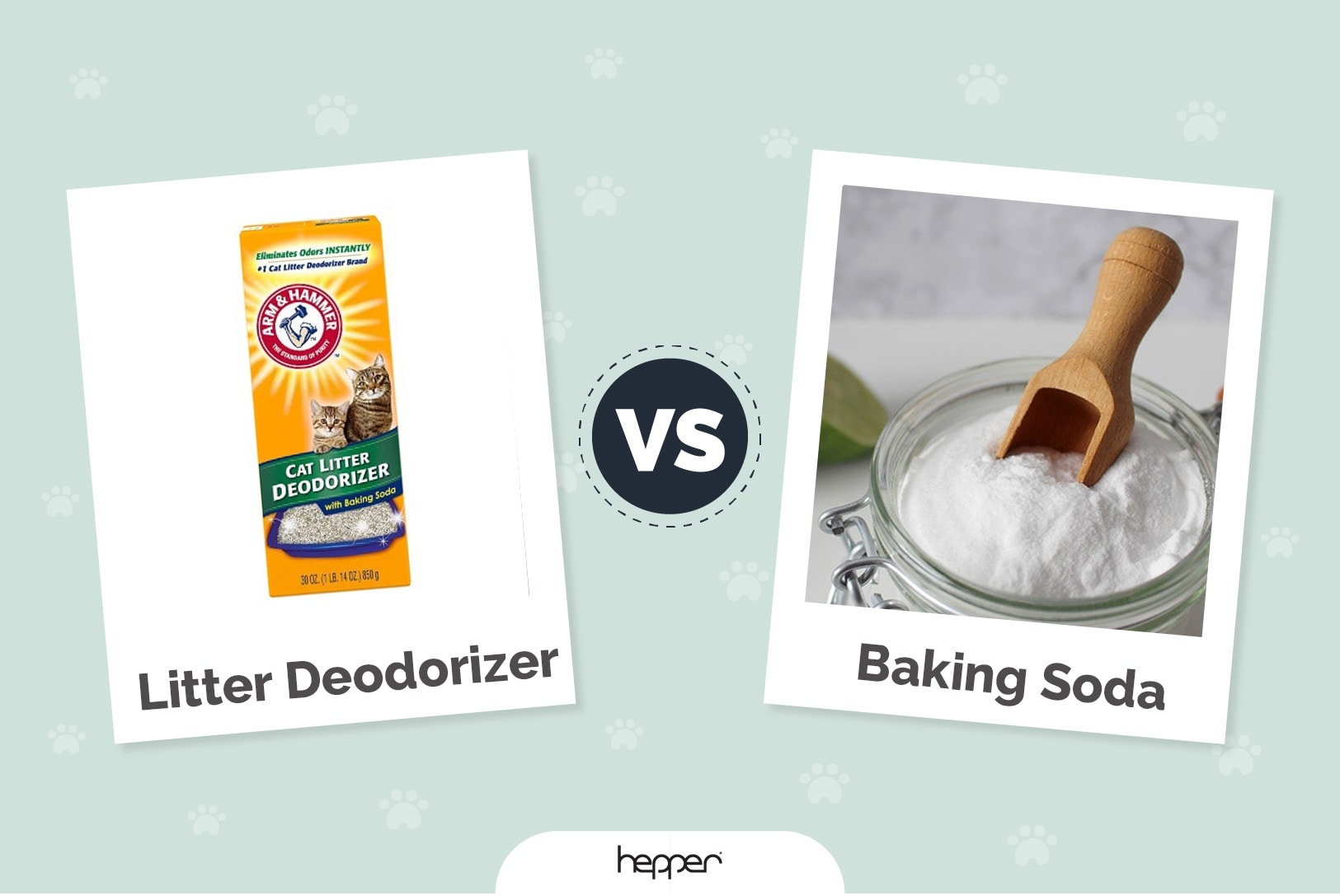Cat Litter Deodorizers vs Baking Soda: Main Differences & FAQs