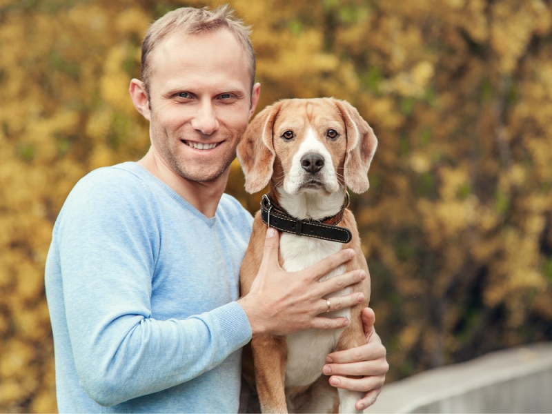 Do Beagles Like to Cuddle? Why They Do & May Not