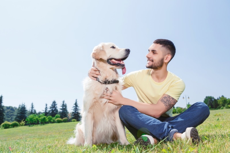 10 Most Loyal Dog Breeds in the World: Info & Pictures