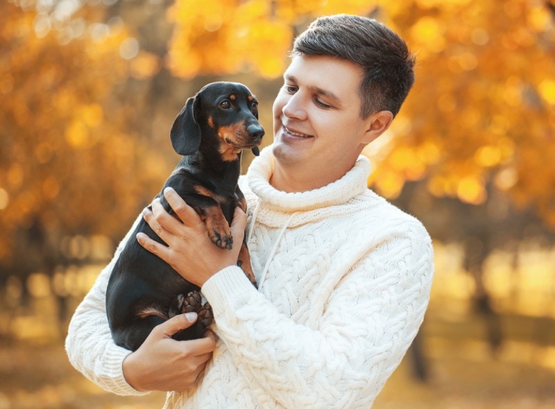 National Animal Safety & Protection Month 2026: What & When It Is