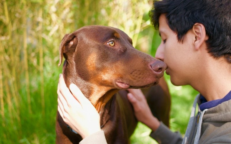 10 Amazing Ways Pets Help with Stress & Your Mental Health