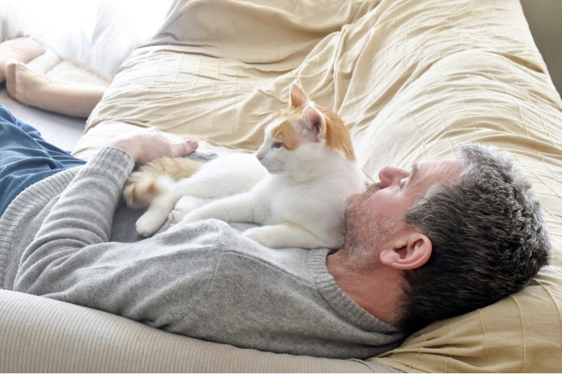 Why Your Cat Sits on Your Face: 8 Possible Reasons & What to Do About It