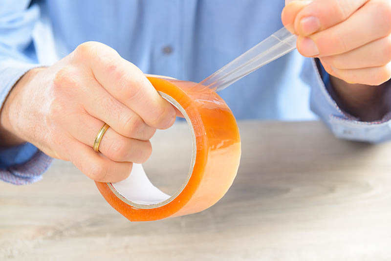 Why Does My Cat Eat Tape? 6 Vet-Reviewed Reasons