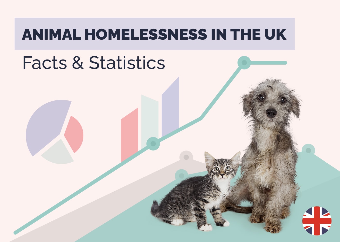 18 Shocking UK Animal Homelessness Statistics & Facts (Updated in 2026)