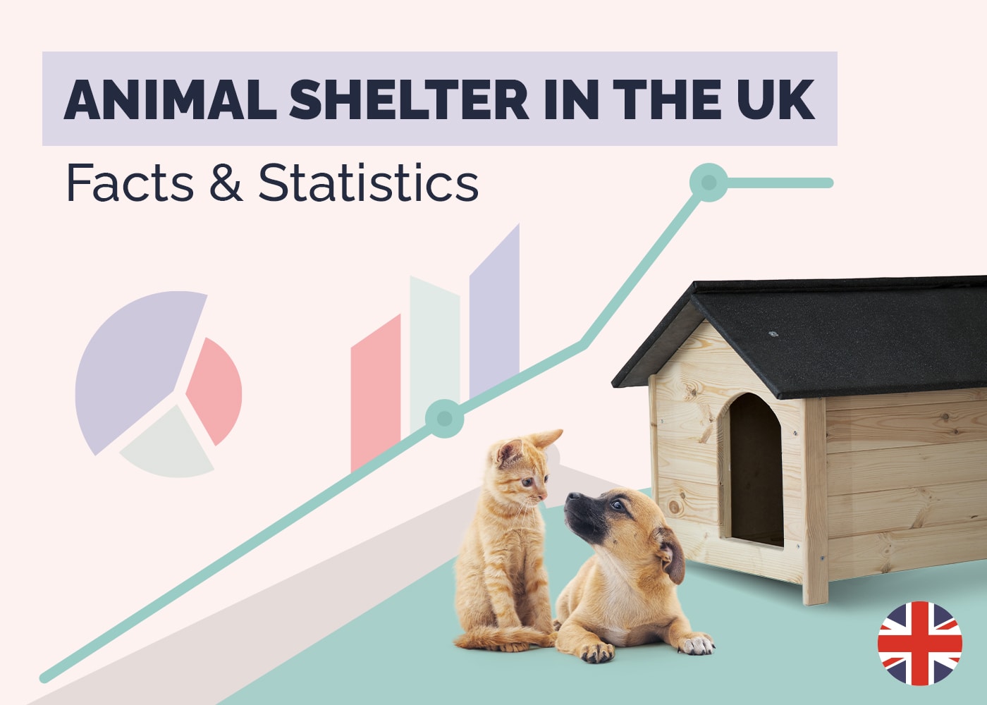18 Shocking UK Animal Shelter Statistics & Facts (Updated in 2026)